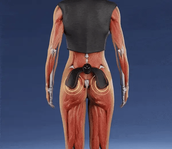 PremFit Electric Hip Lifter & Abs Shaper 2025